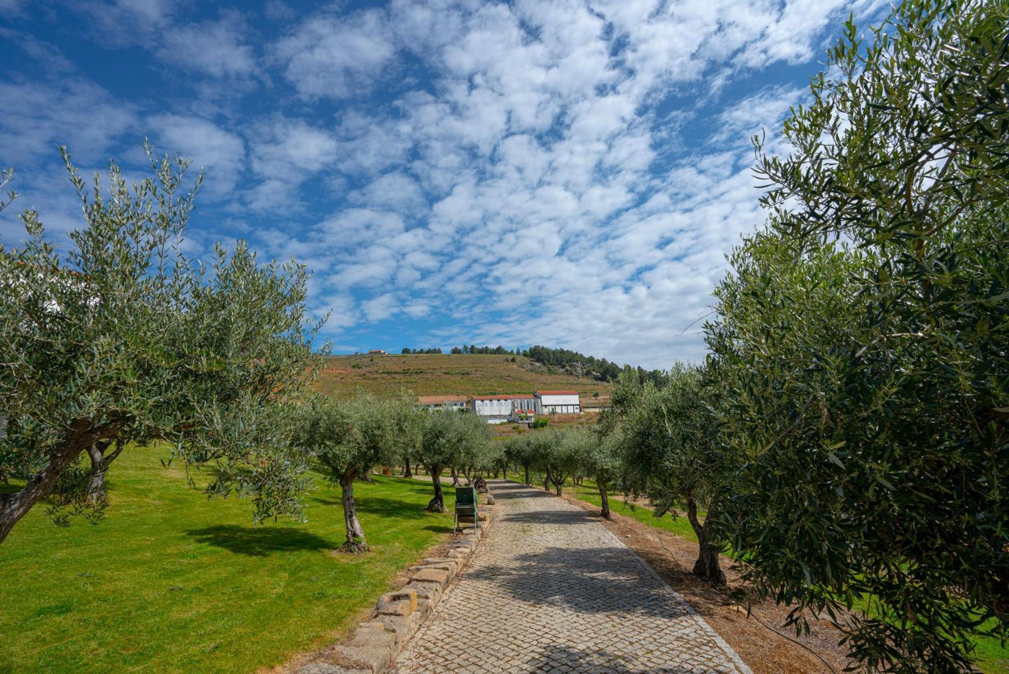 Valonquinta - Agro Hotel & Spa Вила Флор Екстериор снимка