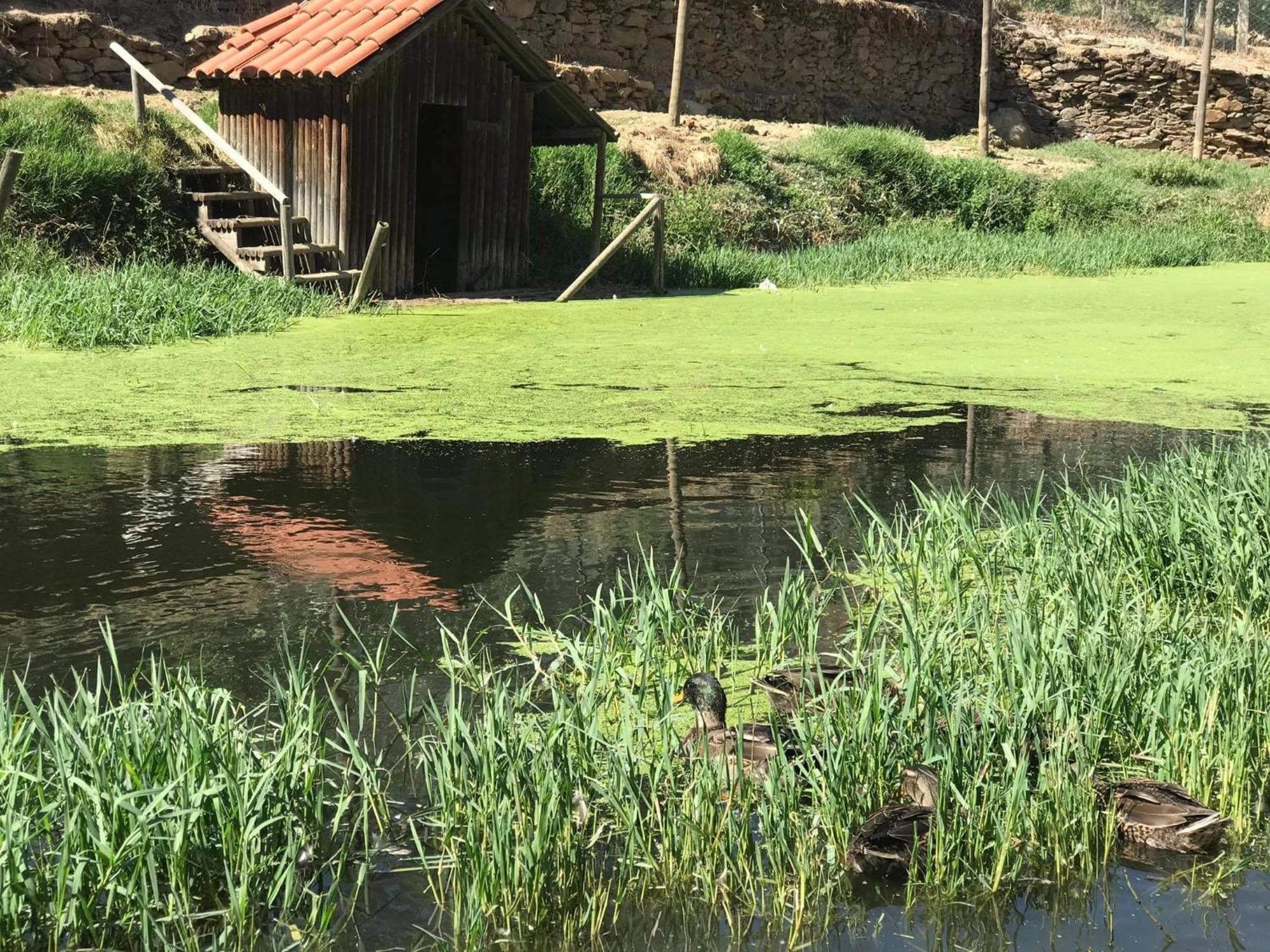 Valonquinta - Agro Hotel & Spa Вила Флор Екстериор снимка